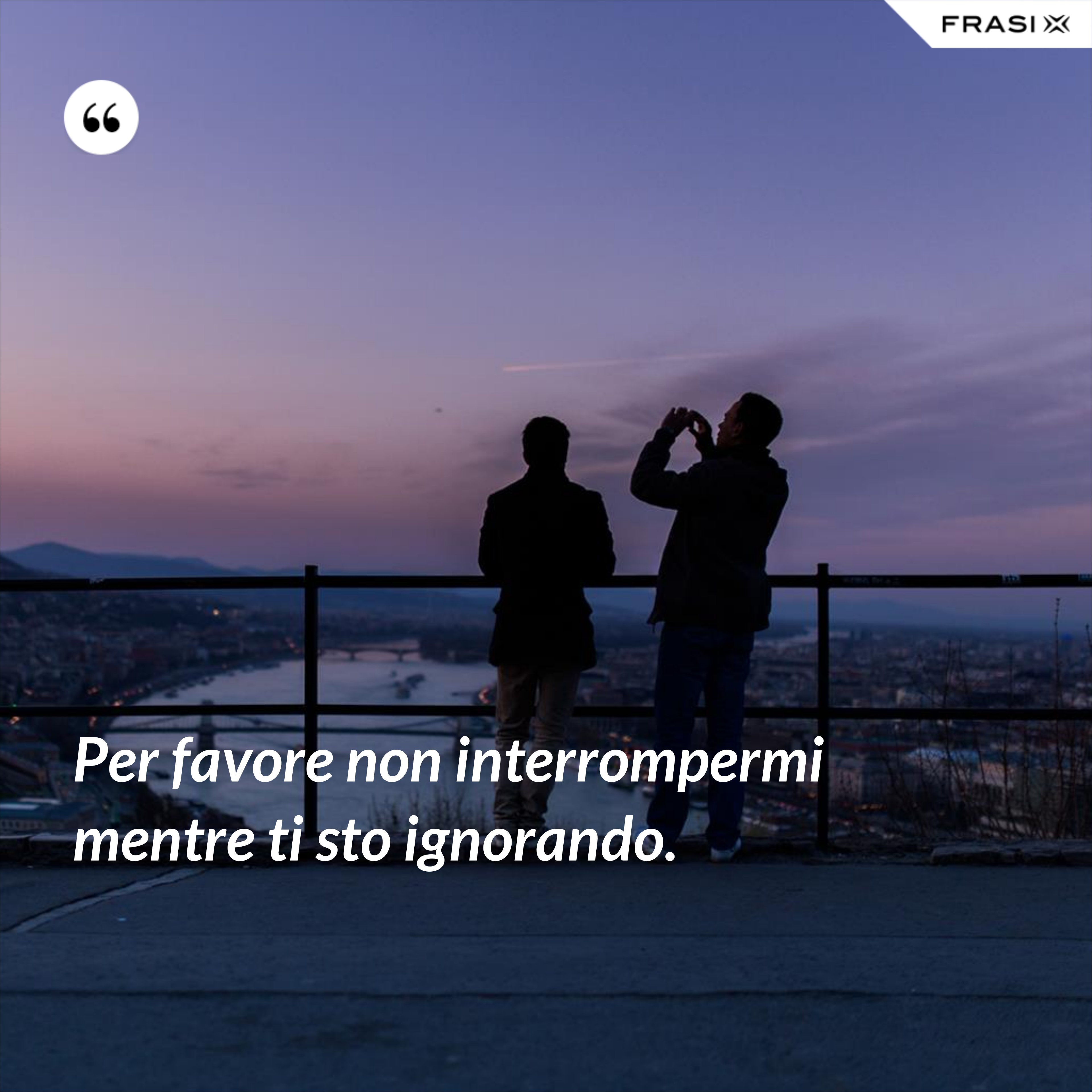 Per favore non interrompermi mentre ti sto ignorando. - Anonimo