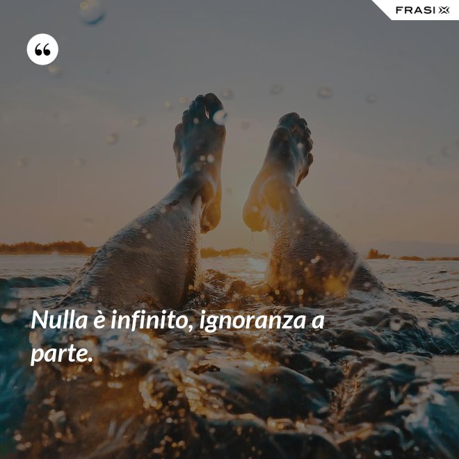 Nulla è infinito, ignoranza a parte. - Anonimo