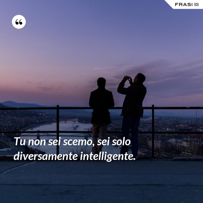 Tu non sei scemo, sei solo diversamente intelligente. - Anonimo