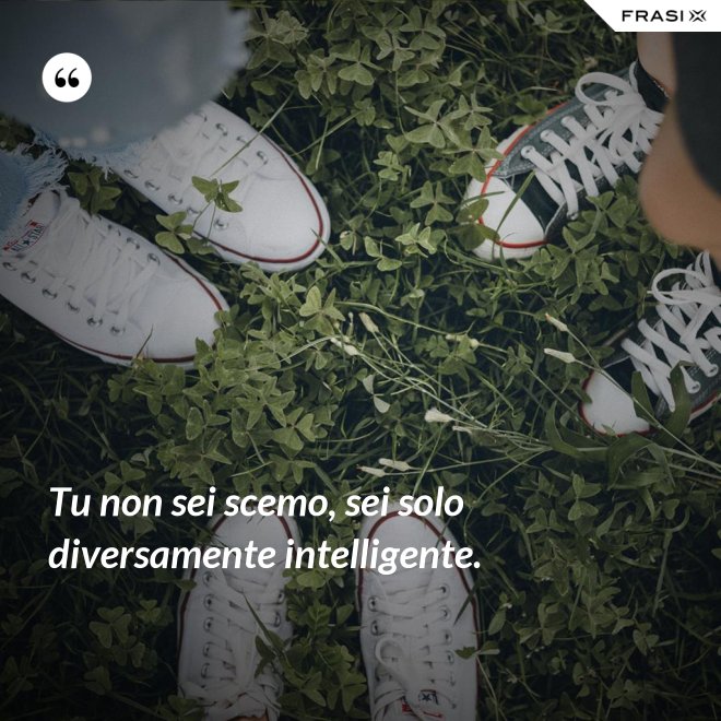 Tu non sei scemo, sei solo diversamente intelligente. - Anonimo