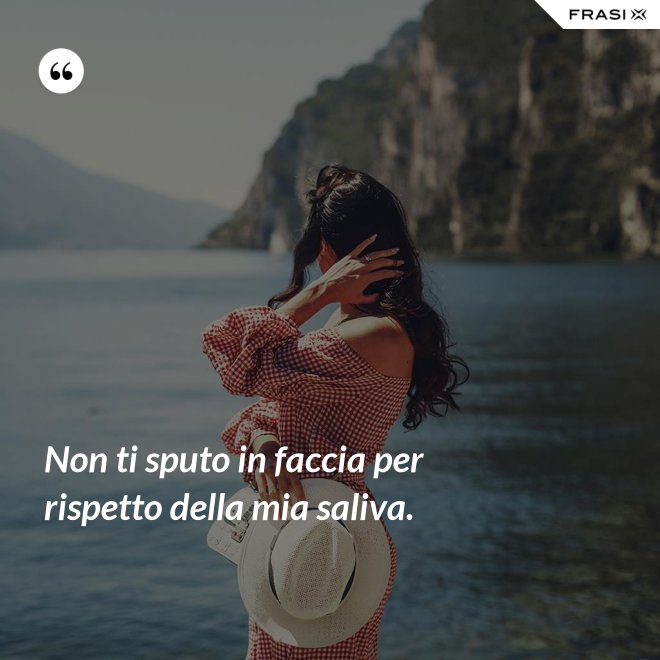 Non ti sputo in faccia per rispetto della mia saliva. - Anonimo