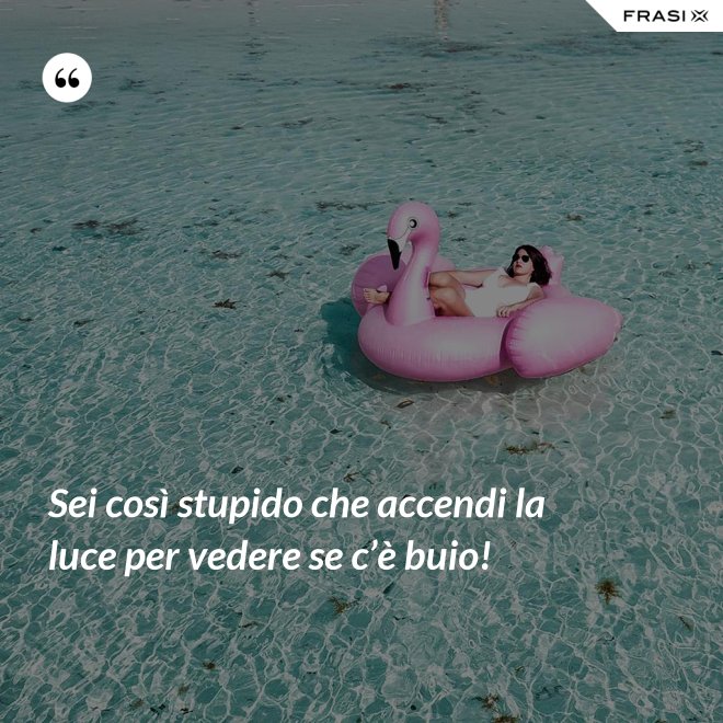Sei così stupido che accendi la luce per vedere se c’è buio! - Anonimo