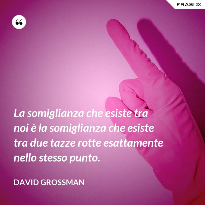 La somiglianza che esiste tra noi è la somiglianza che esiste tra due tazze rotte esattamente nello stesso punto. - David Grossman