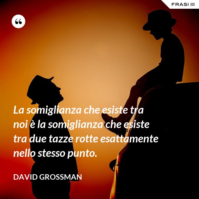 La somiglianza che esiste tra noi è la somiglianza che esiste tra due tazze rotte esattamente nello stesso punto. - David Grossman