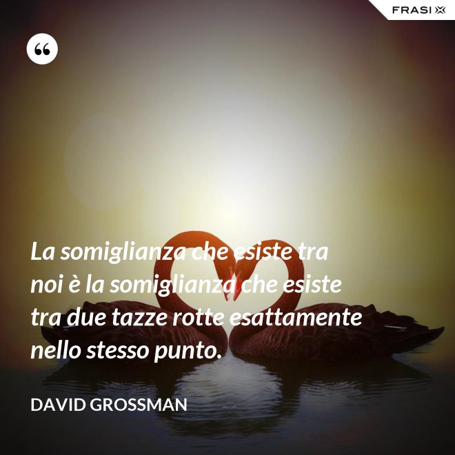 La somiglianza che esiste tra noi è la somiglianza che esiste tra due tazze rotte esattamente nello stesso punto. - David Grossman