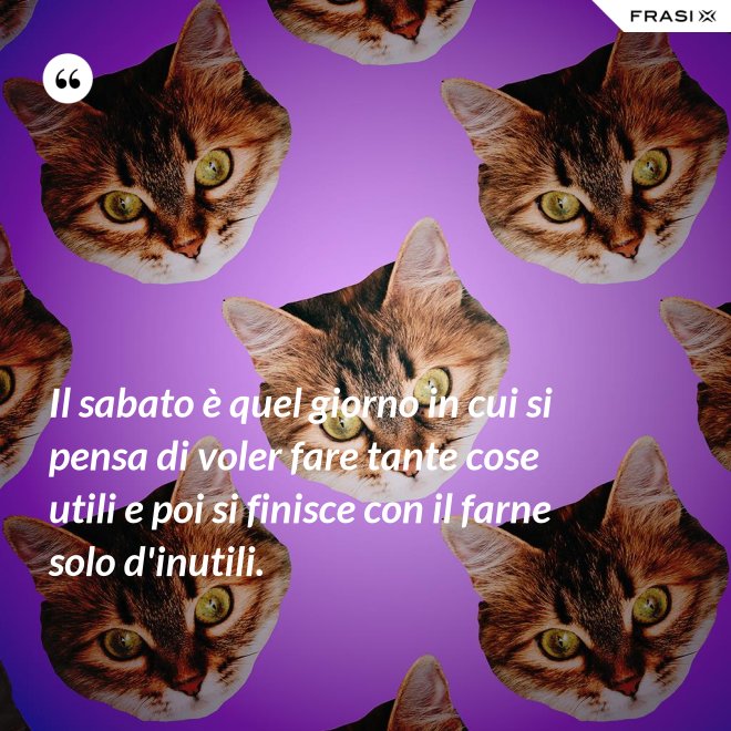 Il sabato è quel giorno in cui si pensa di voler fare tante cose utili e poi si finisce con il farne solo d'inutili. - Anonimo