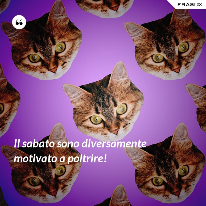 Il sabato sono diversamente motivato a poltrire! - Anonimo