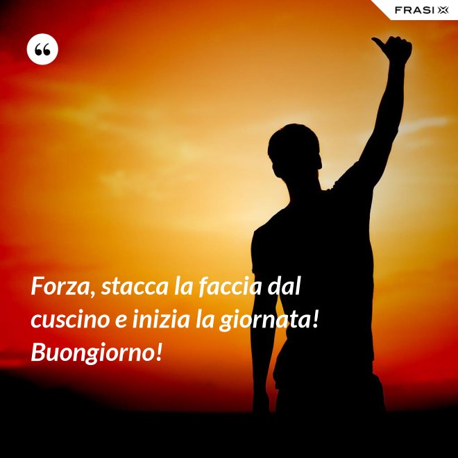 Forza, stacca la faccia dal cuscino e inizia la giornata! Buongiorno! - Anonimo