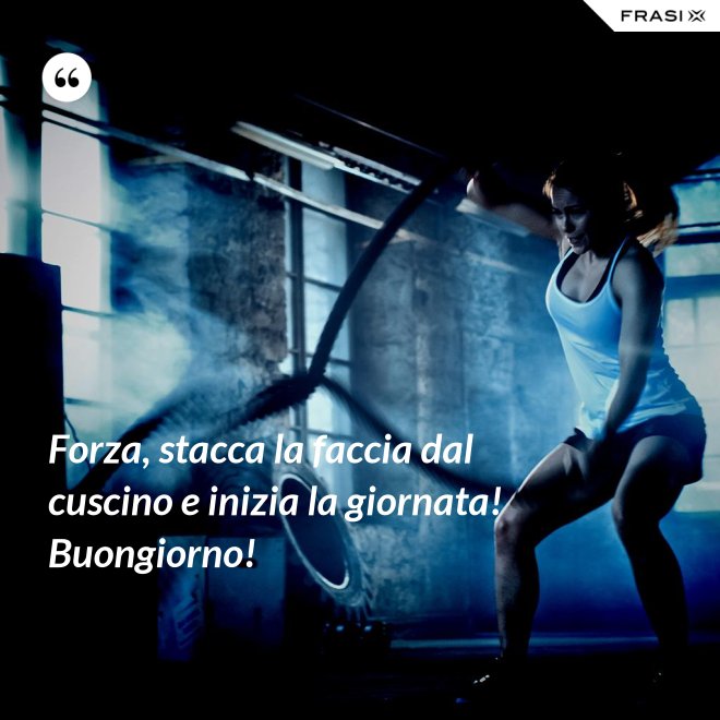 Forza, stacca la faccia dal cuscino e inizia la giornata! Buongiorno! - Anonimo