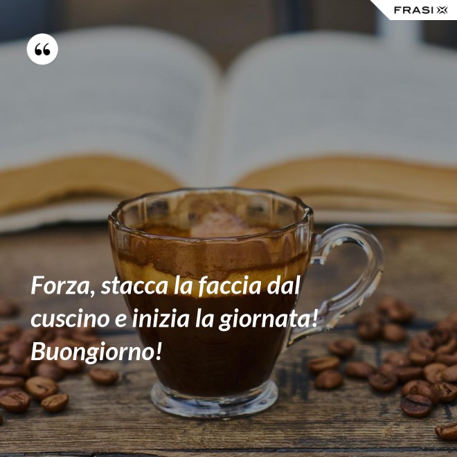 Forza, stacca la faccia dal cuscino e inizia la giornata! Buongiorno! - Anonimo