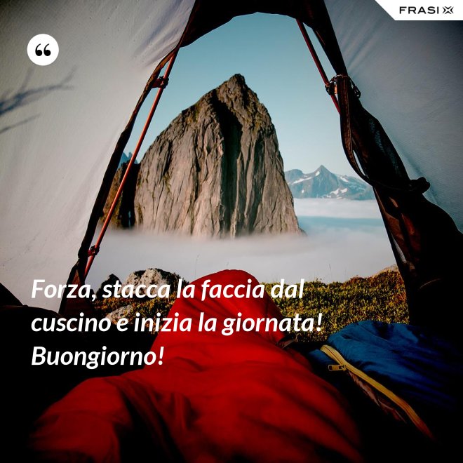 Forza, stacca la faccia dal cuscino e inizia la giornata! Buongiorno! - Anonimo