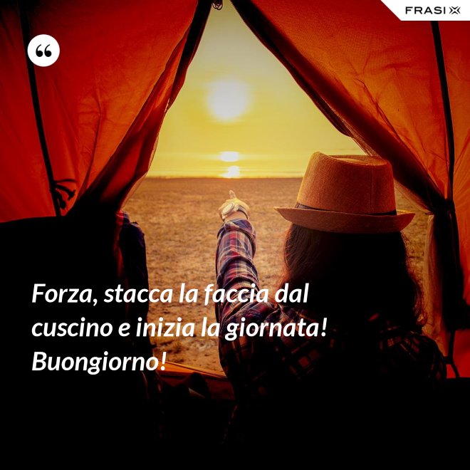 Forza, stacca la faccia dal cuscino e inizia la giornata! Buongiorno! - Anonimo