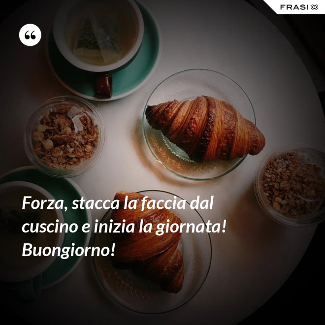Forza, stacca la faccia dal cuscino e inizia la giornata! Buongiorno! - Anonimo