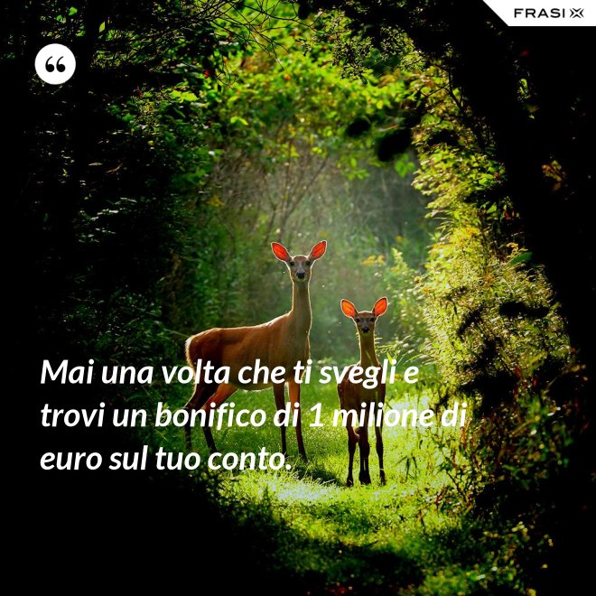Mai una volta che ti svegli e trovi un bonifico di 1 milione di euro sul tuo conto. - Anonimo