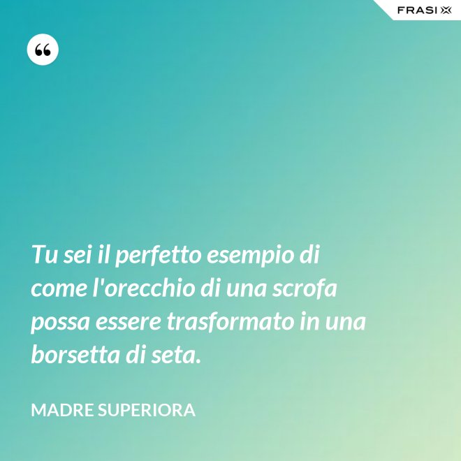 Tu sei il perfetto esempio di come l'orecchio di una scrofa possa essere trasformato in una borsetta di seta. - Madre Superiora