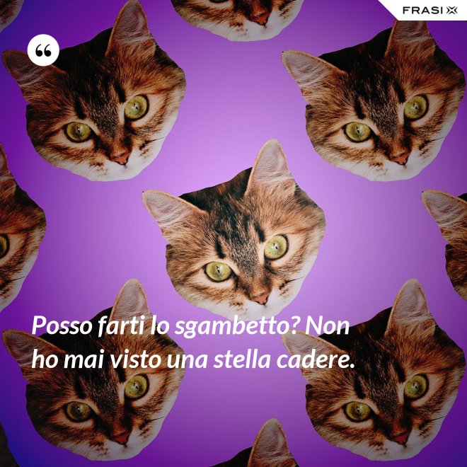 Posso farti lo sgambetto? Non ho mai visto una stella cadere. - Anonimo