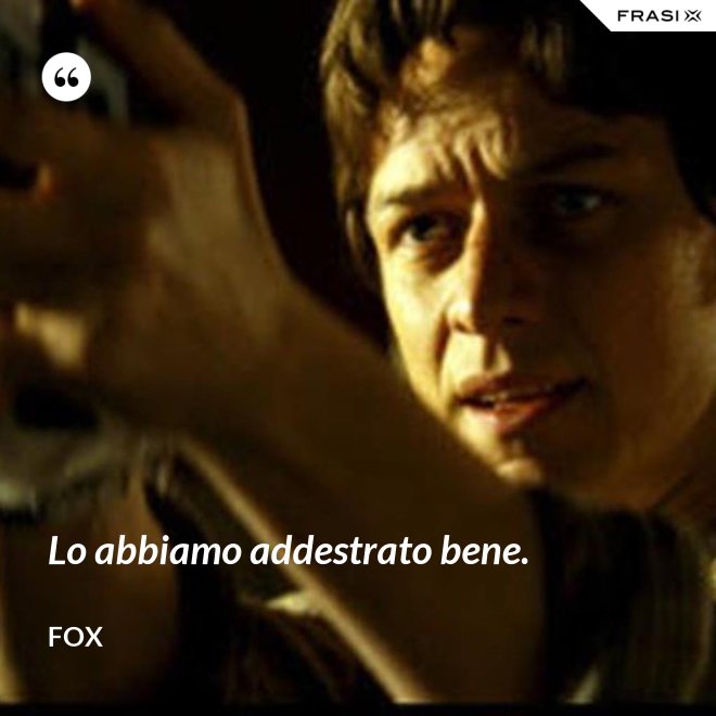 Lo abbiamo addestrato bene. - Fox