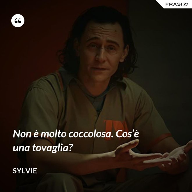 Non è molto coccolosa. Cos’è una tovaglia? - Sylvie
