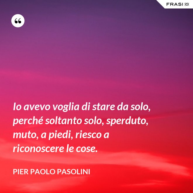 Io avevo voglia di stare da solo, perché soltanto solo, sperduto, muto, a piedi, riesco a riconoscere le cose. - Pier Paolo Pasolini