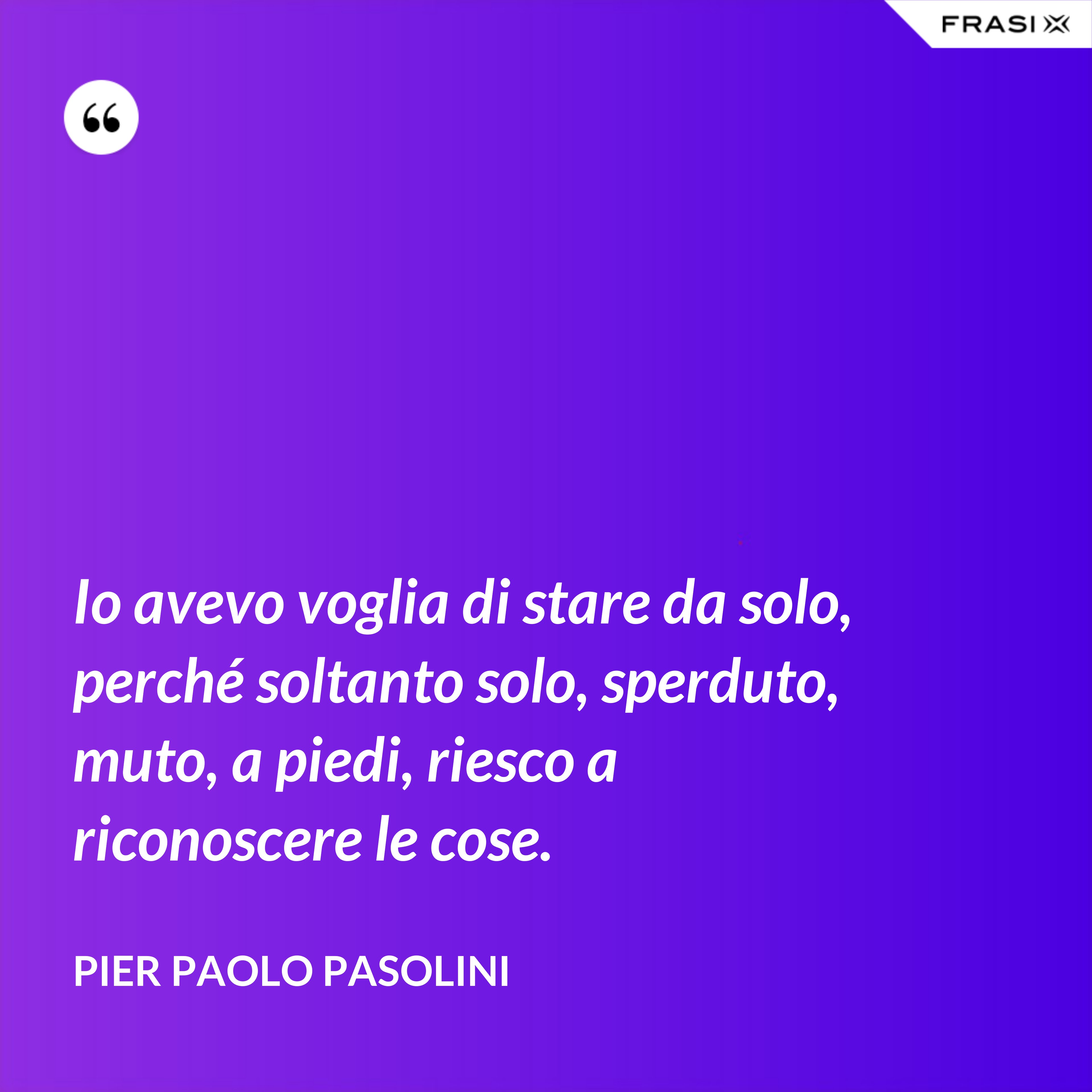 Io avevo voglia di stare da solo, perché soltanto solo, sperduto, muto, a piedi, riesco a riconoscere le cose. - Pier Paolo Pasolini