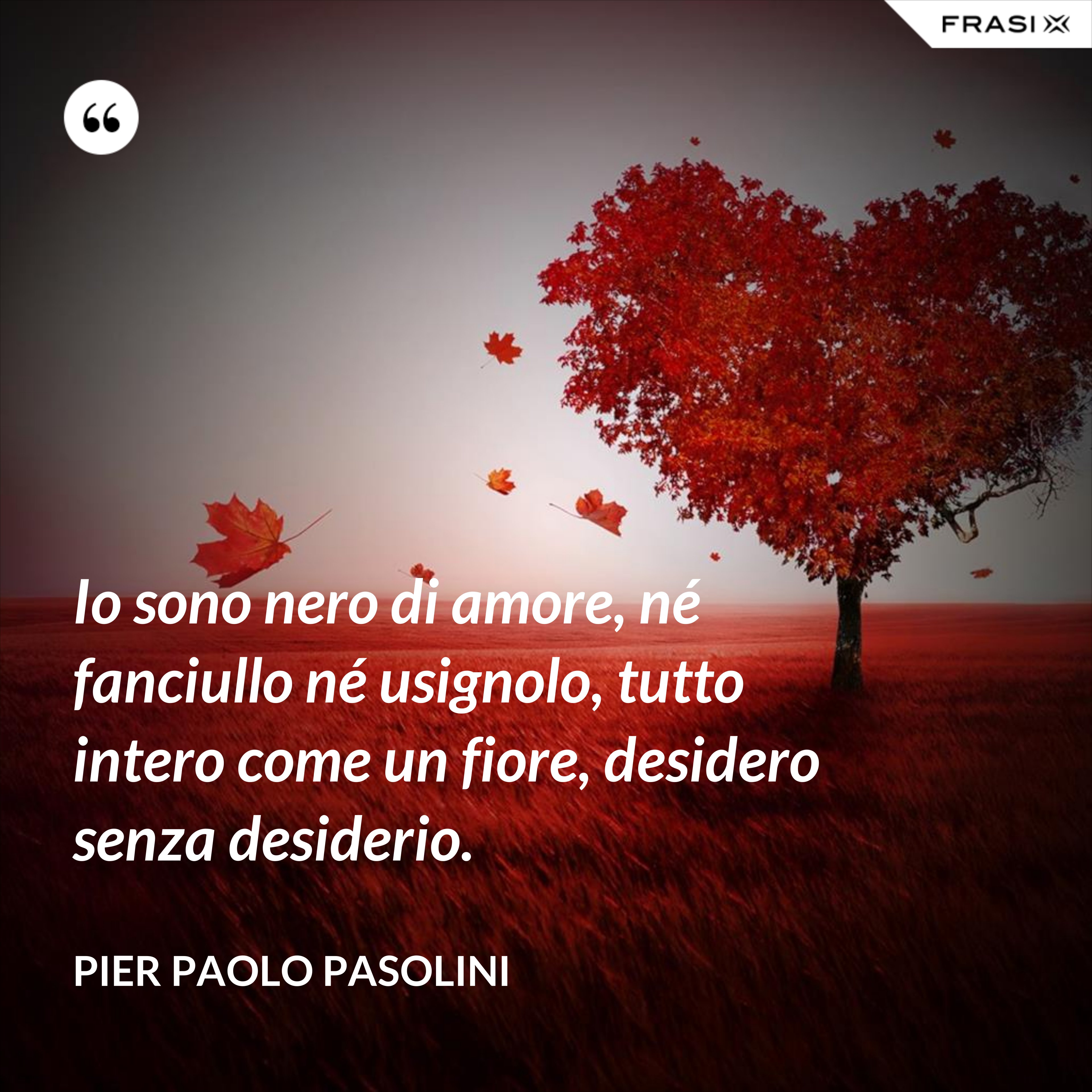 Io sono nero di amore, né fanciullo né usignolo, tutto intero come un fiore, desidero senza desiderio. - Pier Paolo Pasolini