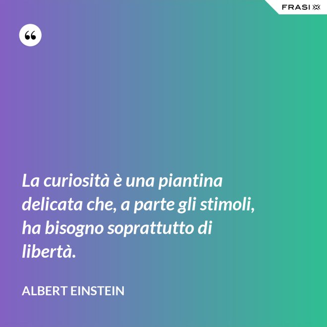 La curiosità è una piantina delicata che, a parte gli stimoli, ha bisogno soprattutto di libertà. - Albert Einstein