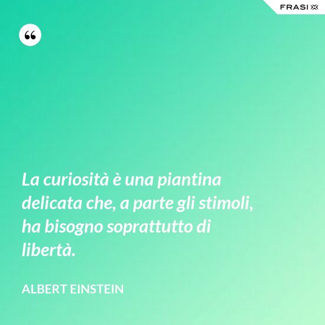La curiosità è una piantina delicata che, a parte gli stimoli, ha bisogno soprattutto di libertà. - Albert Einstein