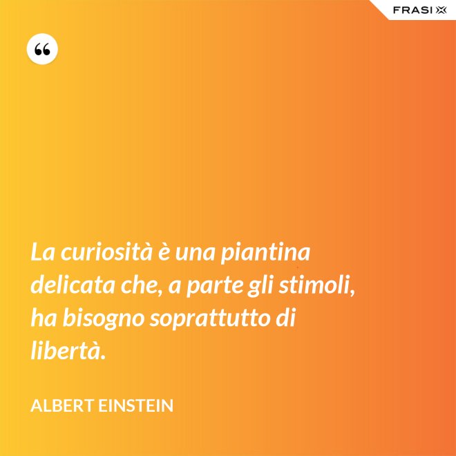 La curiosità è una piantina delicata che, a parte gli stimoli, ha bisogno soprattutto di libertà. - Albert Einstein