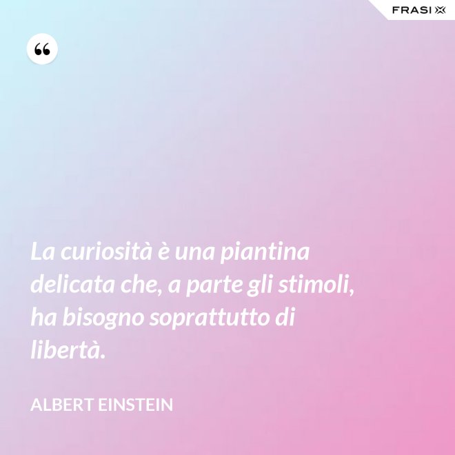 La curiosità è una piantina delicata che, a parte gli stimoli, ha bisogno soprattutto di libertà. - Albert Einstein