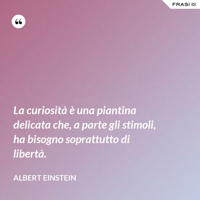 La curiosità è una piantina delicata che, a parte gli stimoli, ha bisogno soprattutto di libertà. - Albert Einstein
