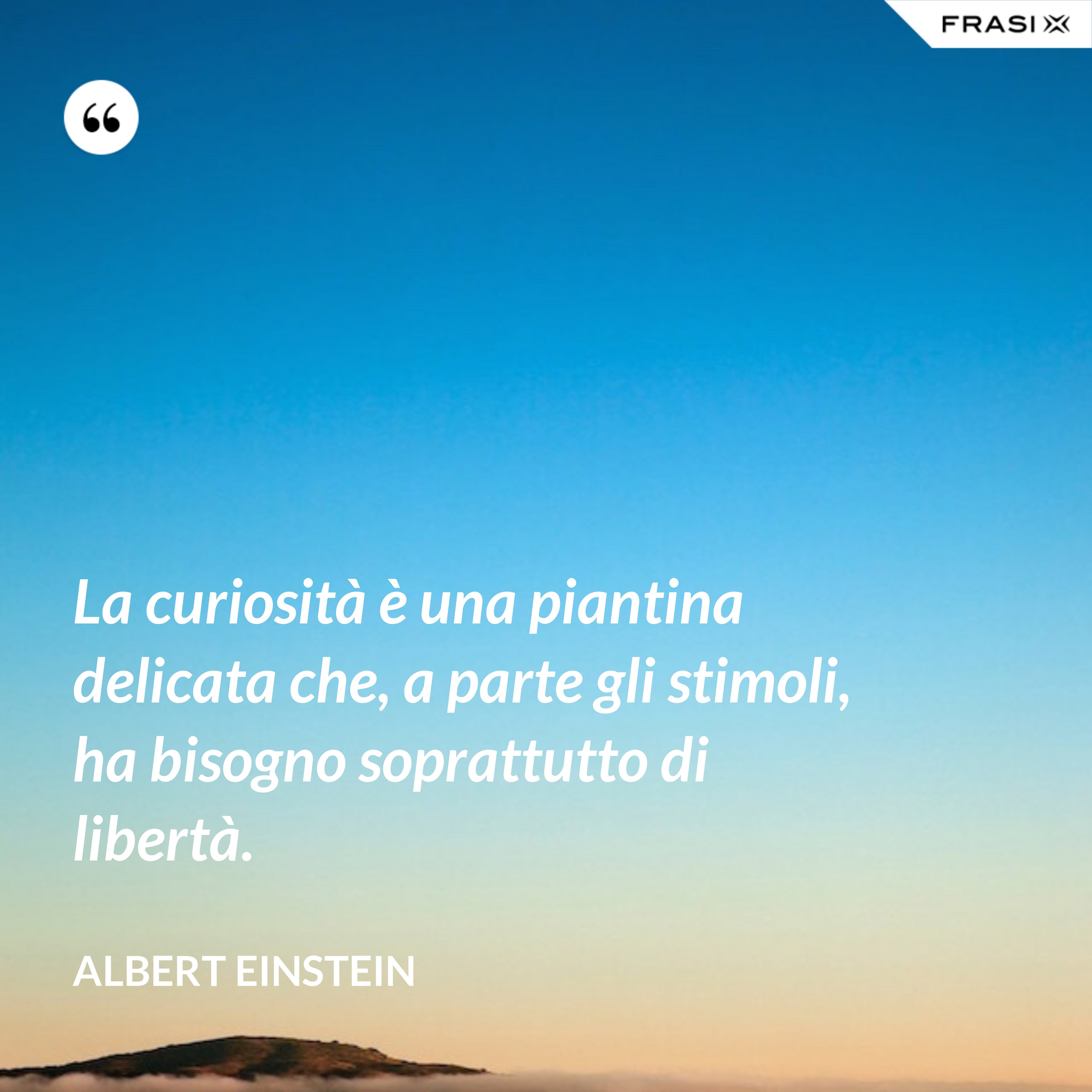 La curiosità è una piantina delicata che, a parte gli stimoli, ha bisogno soprattutto di libertà. - Albert Einstein