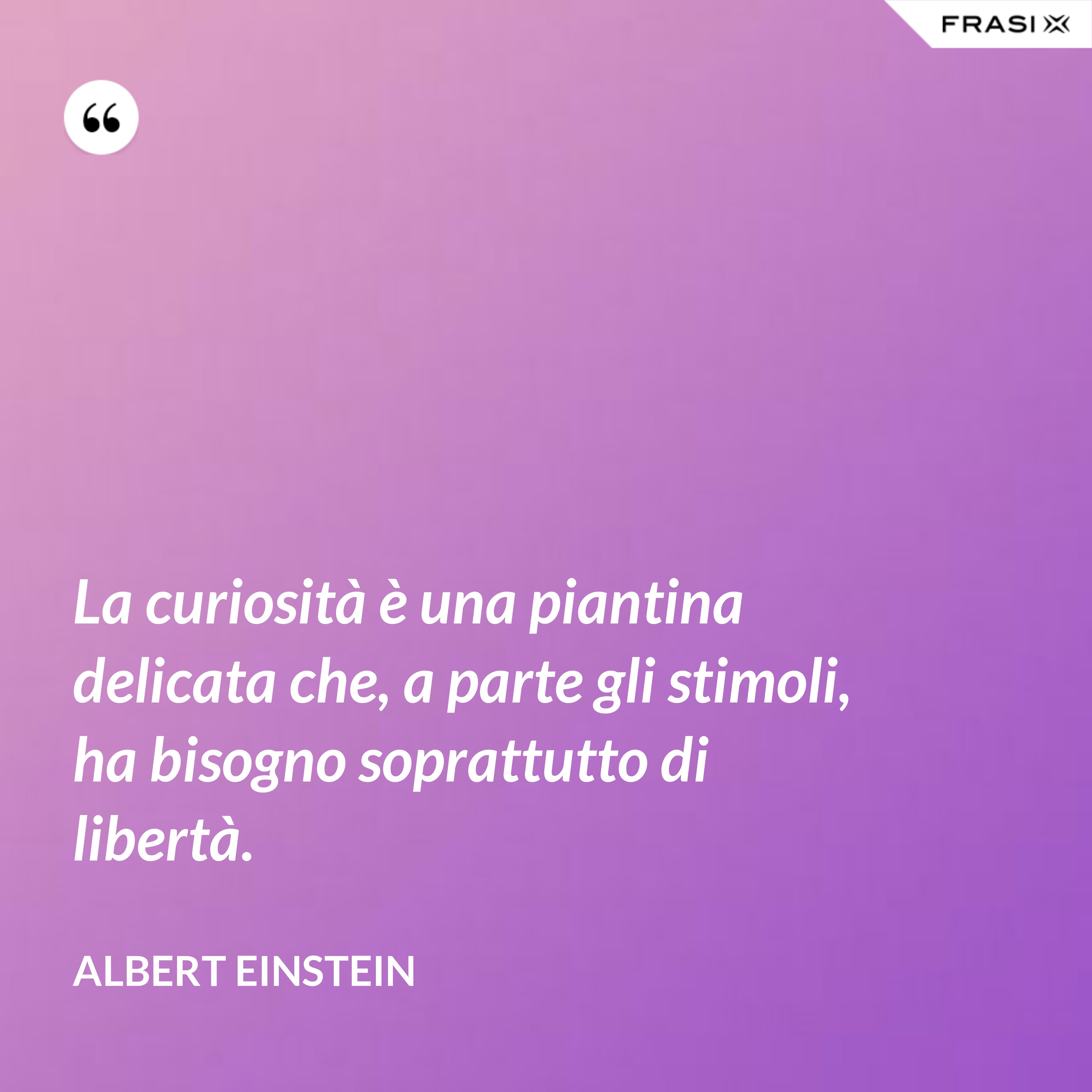 La curiosità è una piantina delicata che, a parte gli stimoli, ha bisogno soprattutto di libertà. - Albert Einstein
