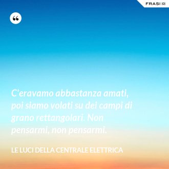 C'eravamo abbastanza amati, poi siamo volati su dei campi di grano rettangolari. Non pensarmi, non pensarmi. - Le luci della centrale elettrica