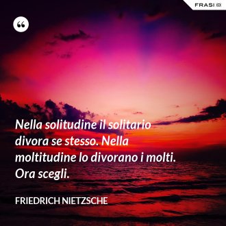 Nella solitudine il solitario divora se stesso. Nella moltitudine lo divorano i molti. Ora scegli. - Friedrich Nietzsche