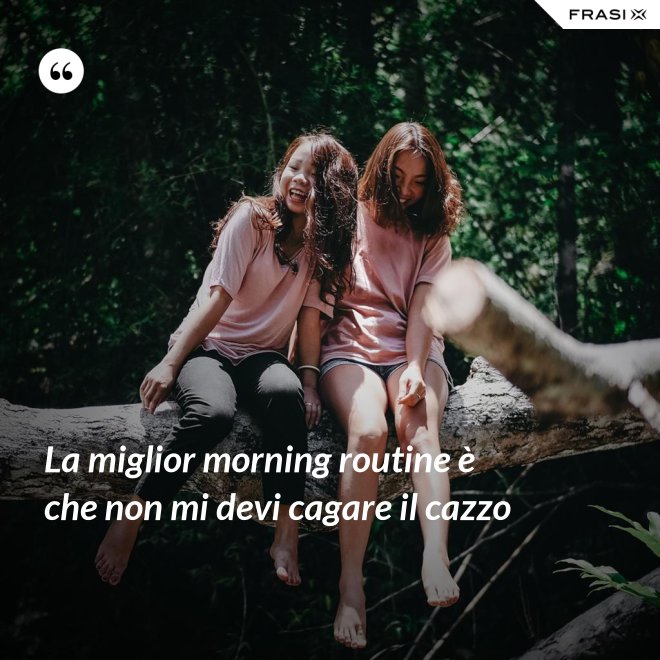La miglior morning routine è che non mi devi cagare il cazzo - Anonimo