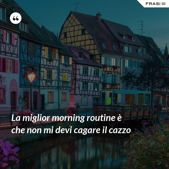 La miglior morning routine è che non mi devi cagare il cazzo - Anonimo
