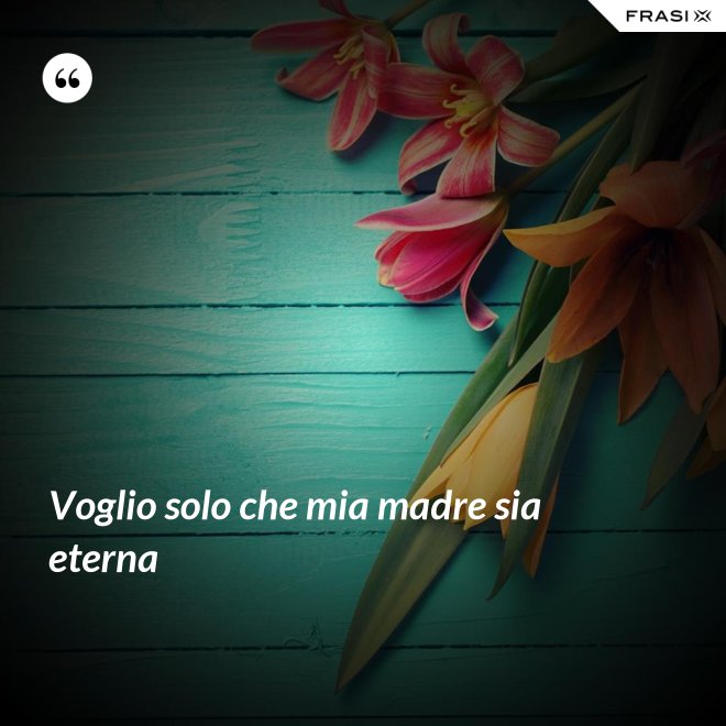 Voglio solo che mia madre sia eterna - Anonimo