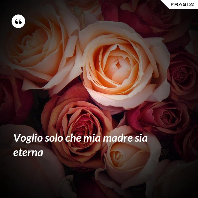 Voglio solo che mia madre sia eterna - Anonimo
