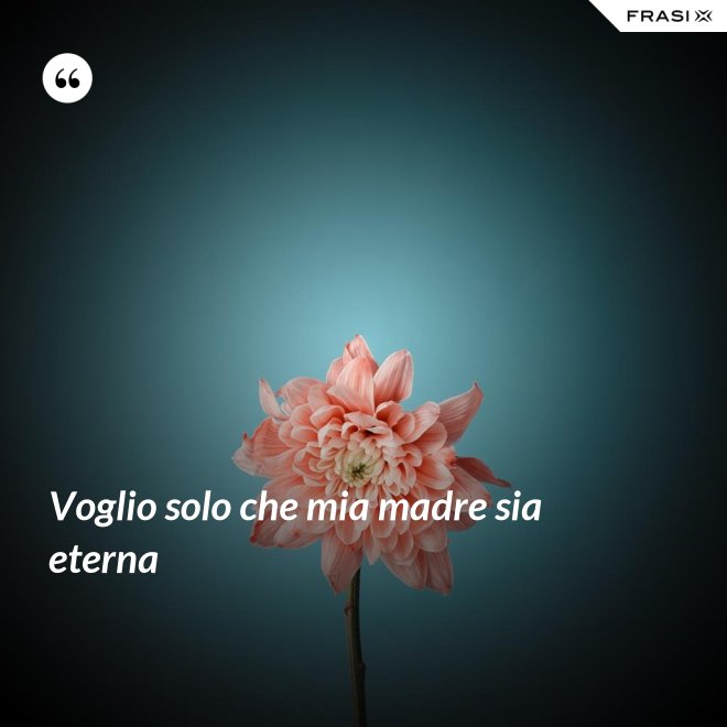 Voglio solo che mia madre sia eterna - Anonimo