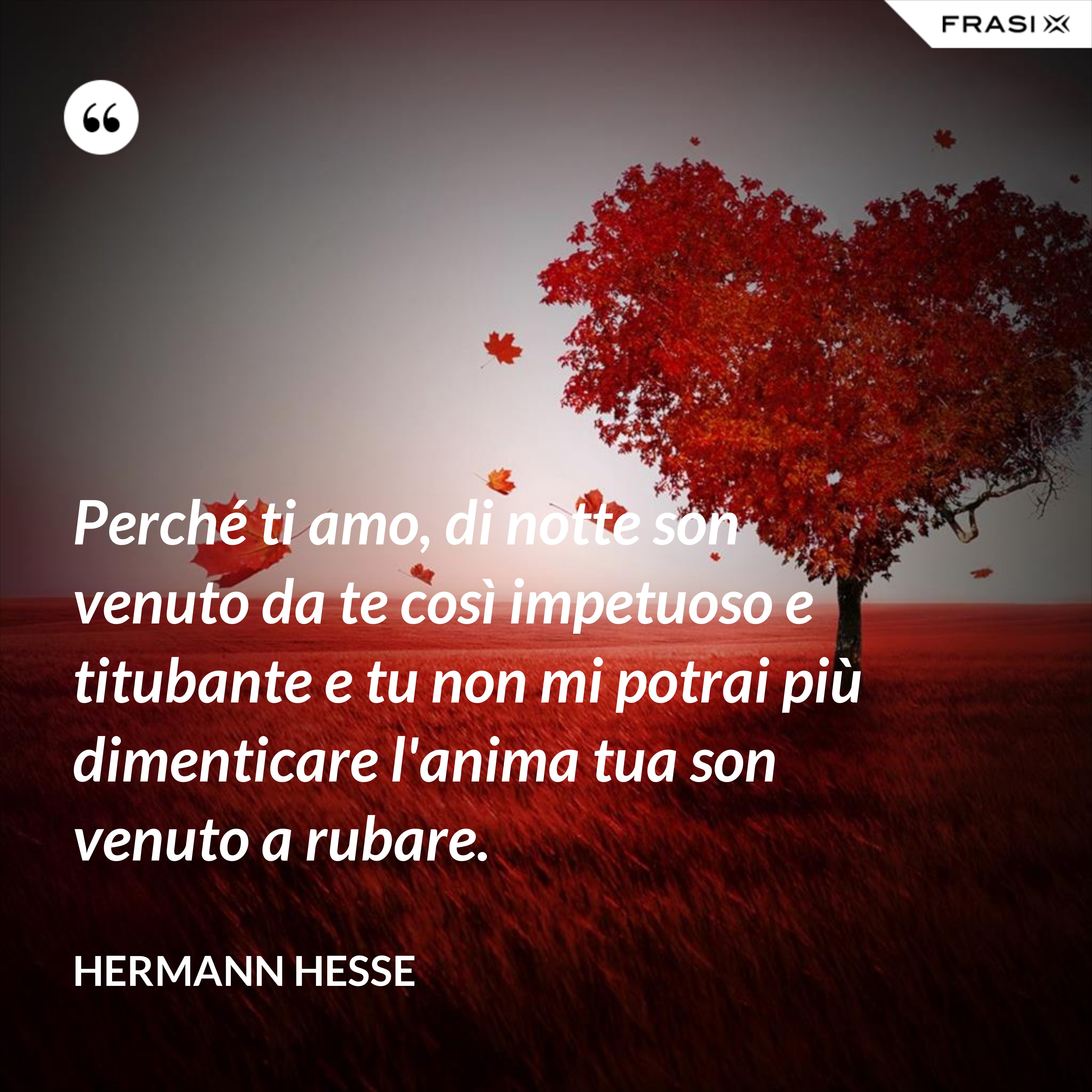 Perché ti amo, di notte son venuto da te così impetuoso e titubante e tu non mi potrai più dimenticare l'anima tua son venuto a rubare. - Hermann Hesse