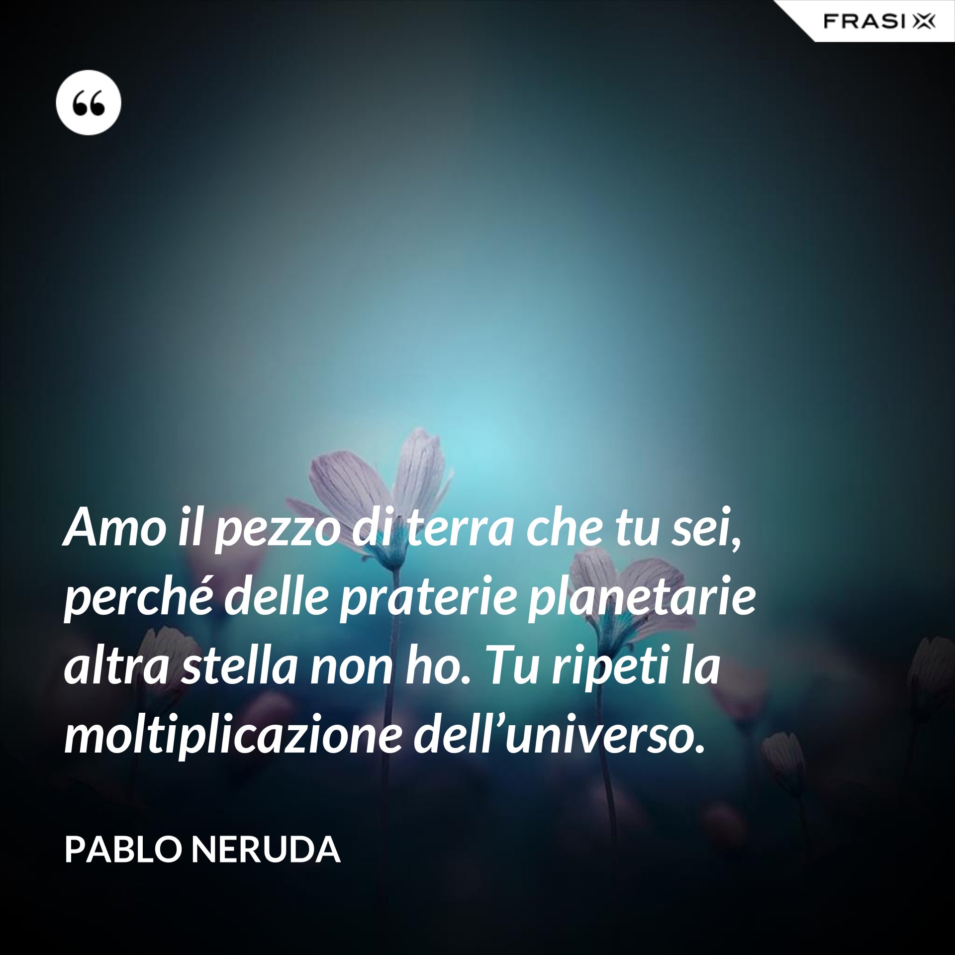 poesie pablo neruda sulla vita