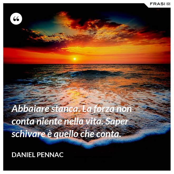 Abbaiare stanca. La forza non conta niente nella vita. Saper schivare è quello che conta. - Daniel Pennac