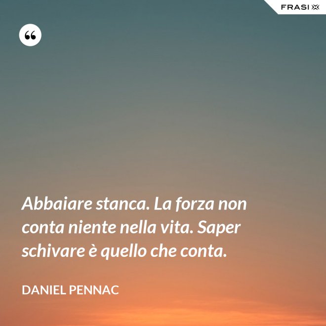 Abbaiare stanca. La forza non conta niente nella vita. Saper schivare è quello che conta. - Daniel Pennac