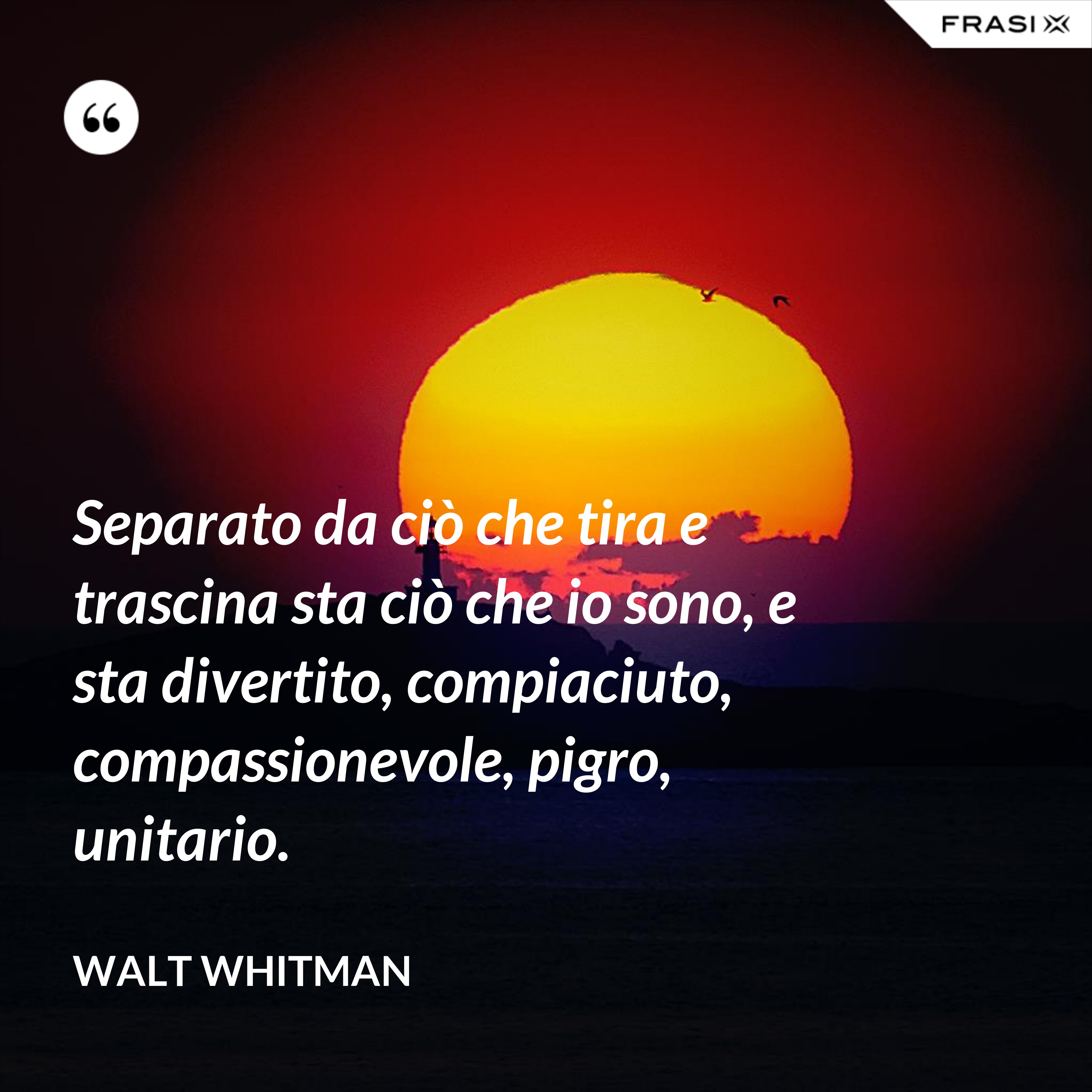 Separato da ciò che tira e trascina sta ciò che io sono, e sta divertito, compiaciuto, compassionevole, pigro, unitario. - Walt Whitman