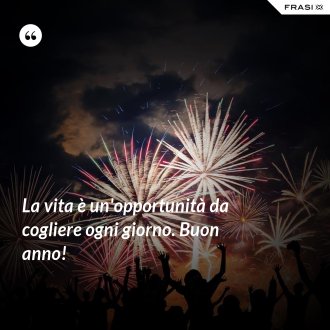 La vita è un'opportunità da cogliere ogni giorno. Buon anno! - Anonimo