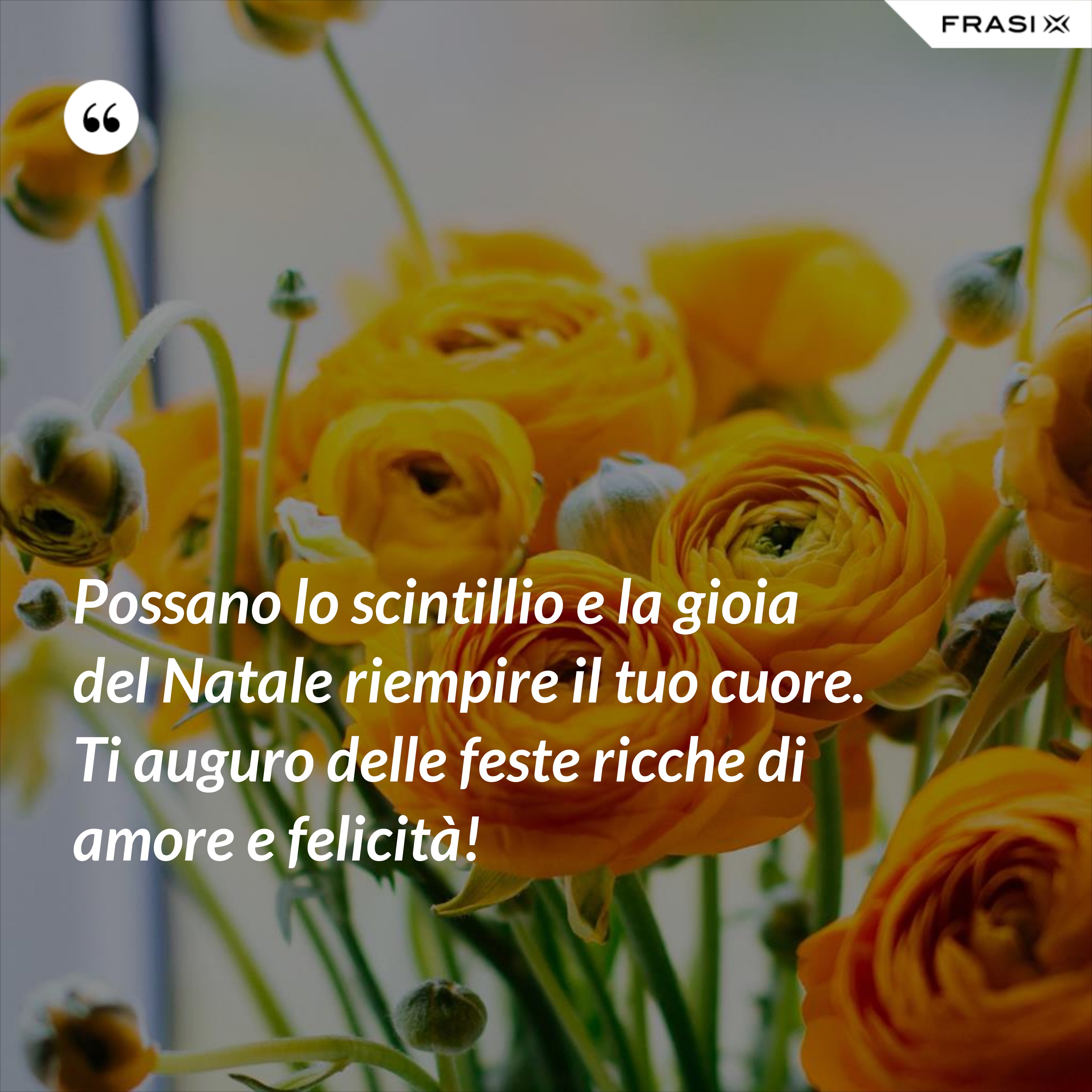 Possano lo scintillio e la gioia del Natale riempire il tuo cuore. Ti auguro delle feste ricche di amore e felicità! - Anonimo