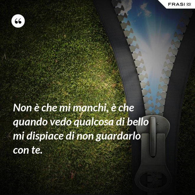 Non è che mi manchi, è che quando vedo qualcosa di bello mi dispiace di non guardarlo con te. - Anonimo