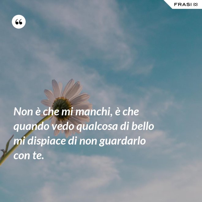 Non è che mi manchi, è che quando vedo qualcosa di bello mi dispiace di non guardarlo con te. - Anonimo