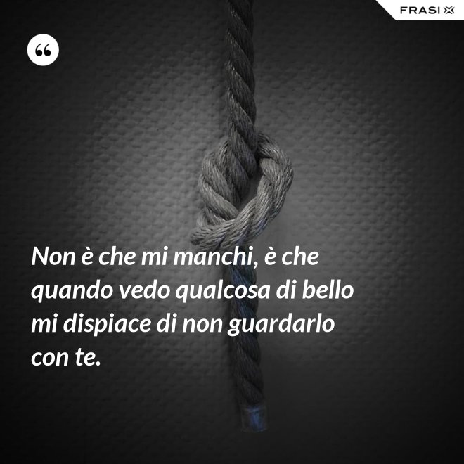 Non è che mi manchi, è che quando vedo qualcosa di bello mi dispiace di non guardarlo con te. - Anonimo
