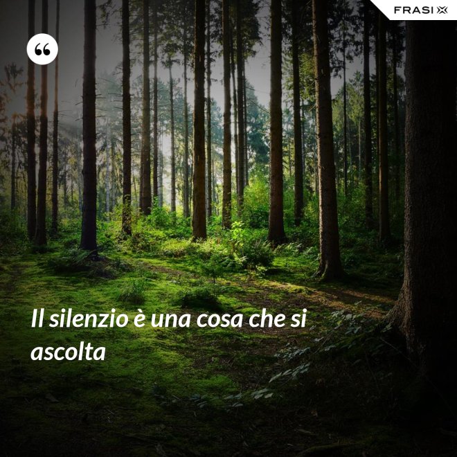 Il silenzio è una cosa che si ascolta - Anonimo